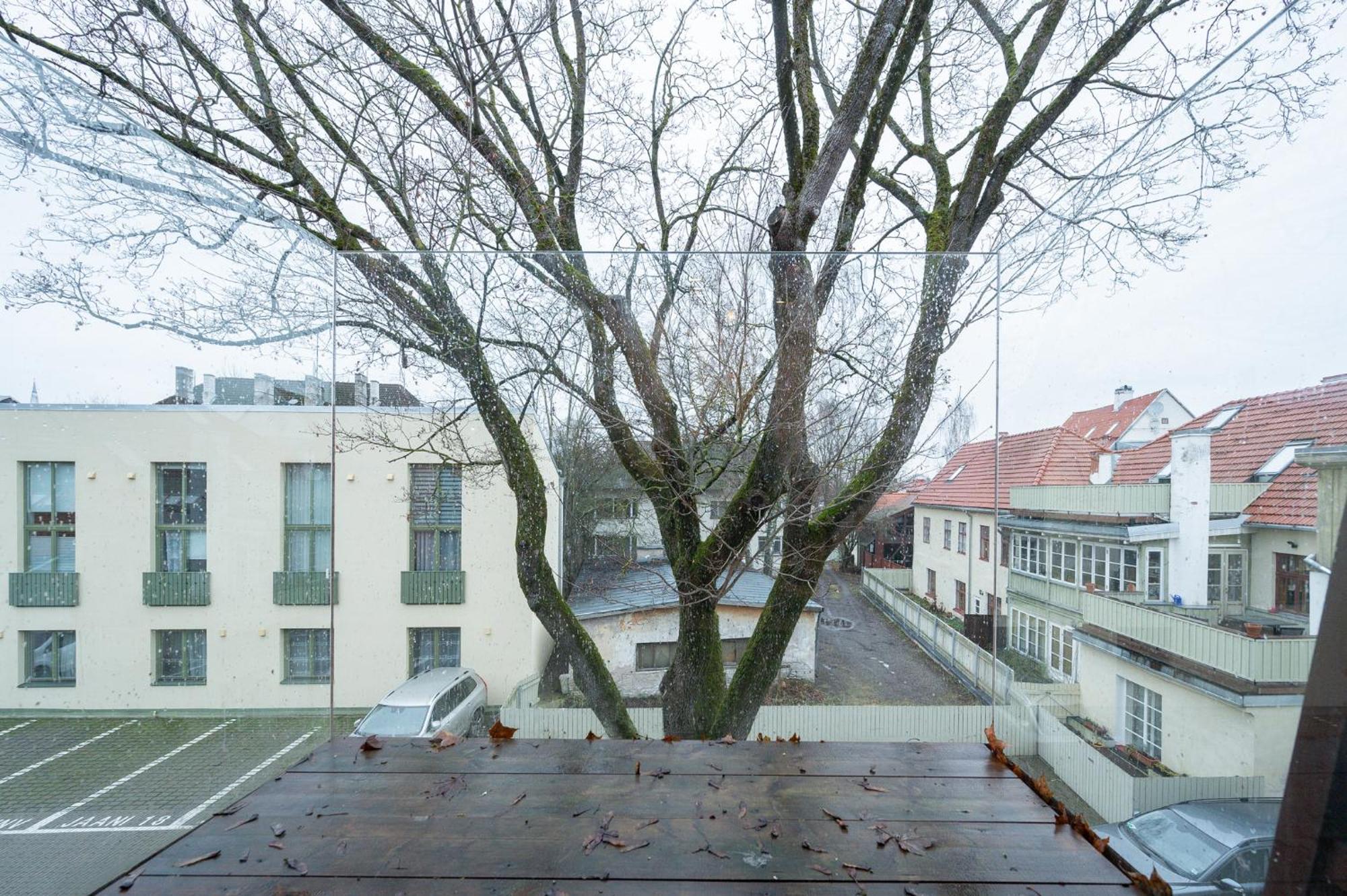 Modern Center Korter